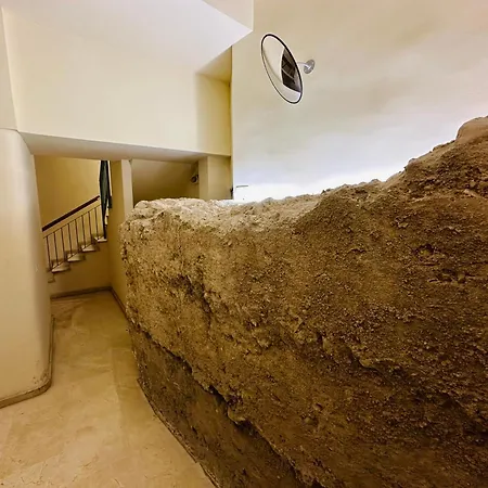 El Elefante Del Pilar *