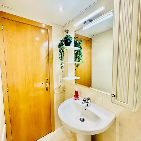 El Elefante Del Pilar *