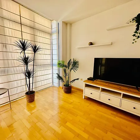 El Elefante Del Pilar Saragosse