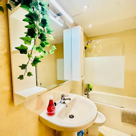 El Elefante Del Pilar