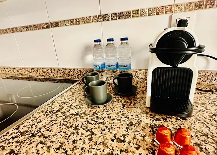 El Elefante Del Pilar Zaragoza